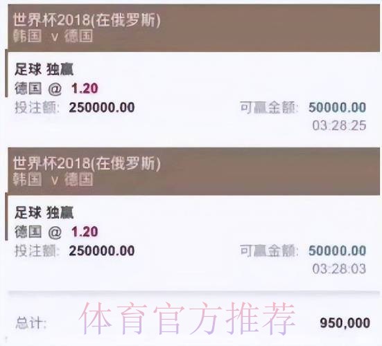 深入解析各大世界杯买球平台的优势对比